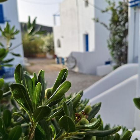 גאליסאס Εvi Evan Hotel מראה חיצוני תמונה