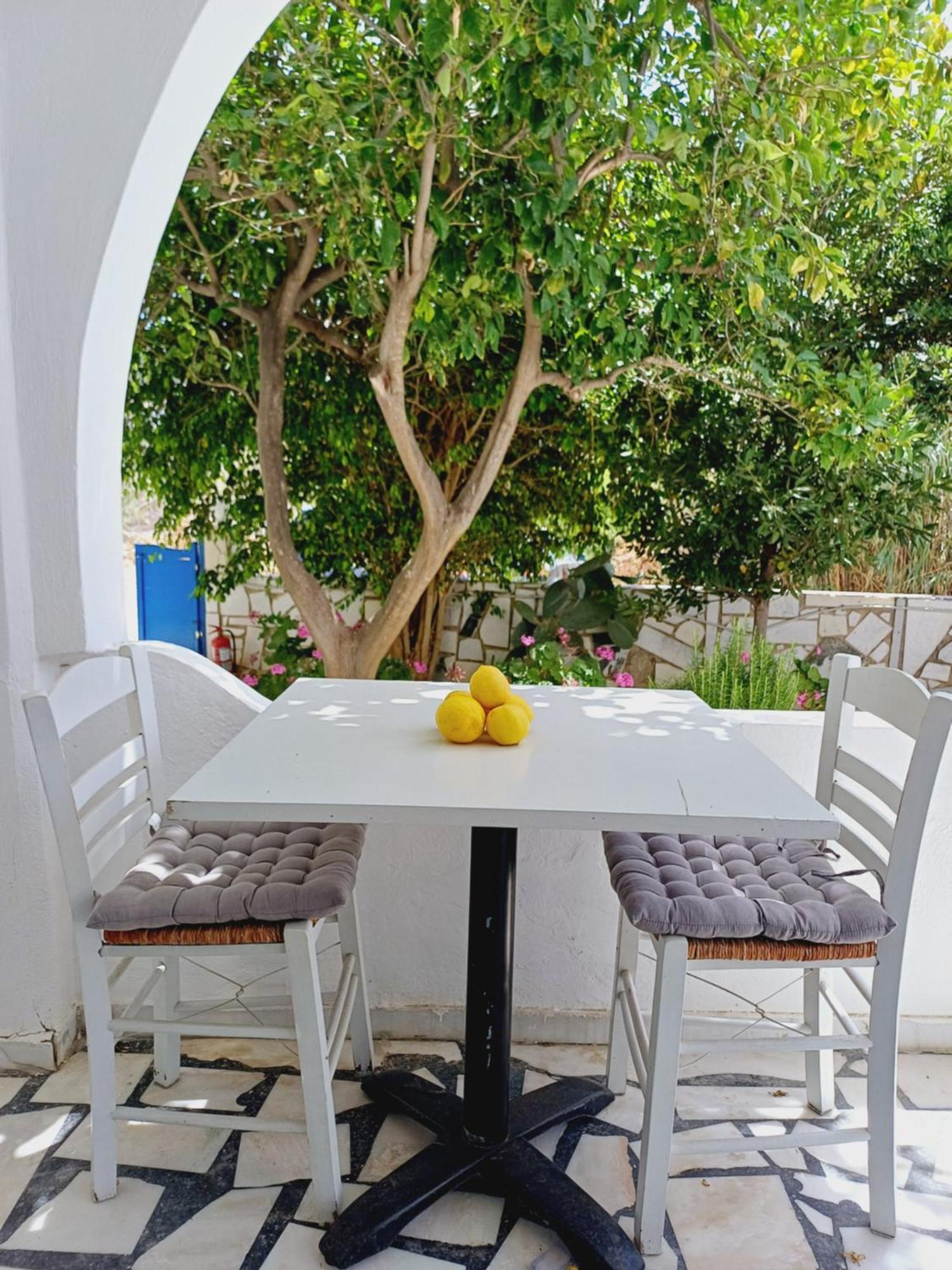 גאליסאס Εvi Evan Hotel מראה חיצוני תמונה