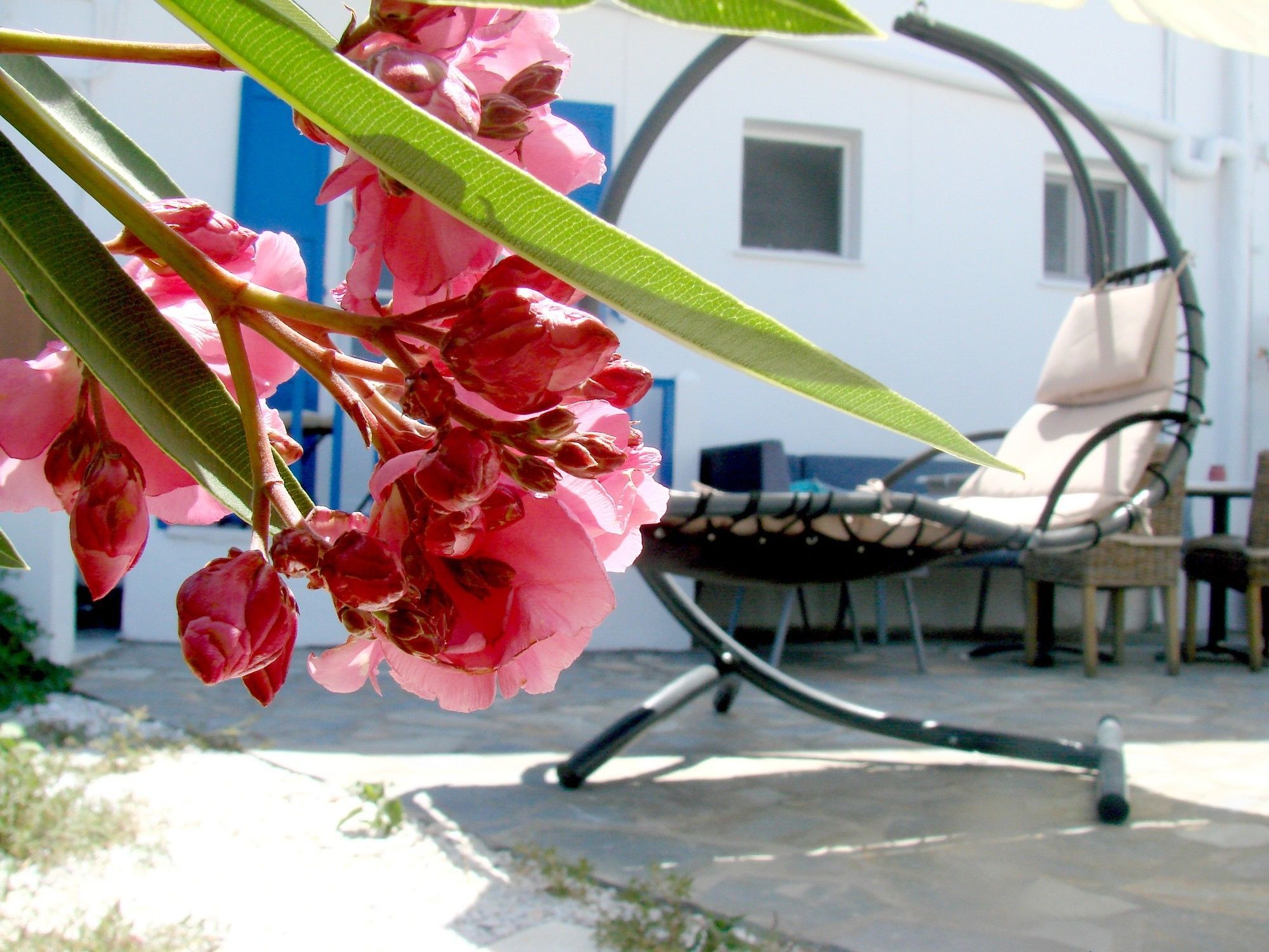 גאליסאס Εvi Evan Hotel מראה חיצוני תמונה