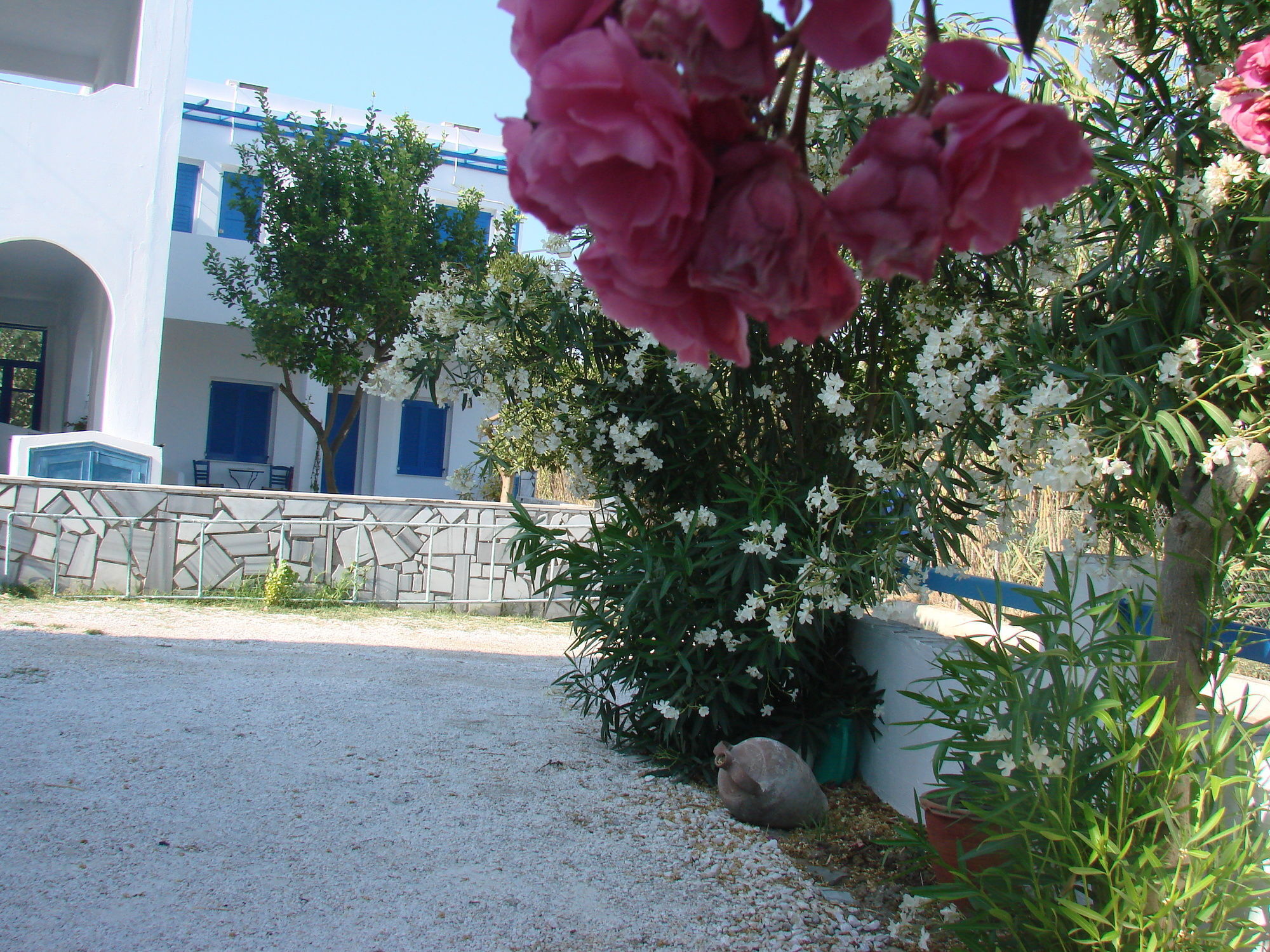 גאליסאס Εvi Evan Hotel מראה חיצוני תמונה